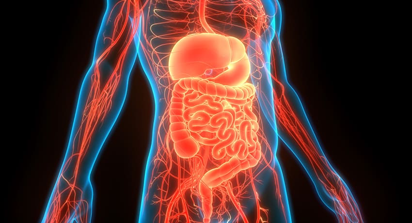 Those experiencing gastrointestinal issues have a new option for treatment and screening in northeast Houston.