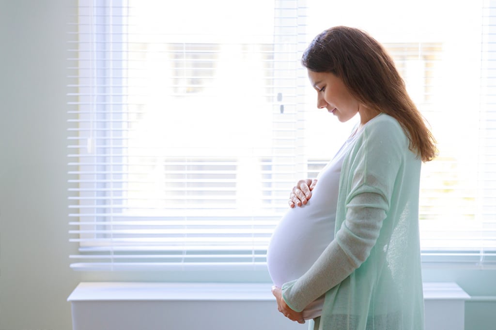 UT Physicians Women's Health Center in Houston, TX