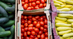 Various colorful vegetables on display
