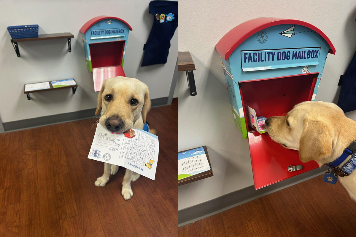 Boris the dog hold a letter in his mouth and is dropping it into the facility dog mailbox. 